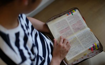 モルモン書教義クラスのレッスン案〜多くの預言者が来て〜